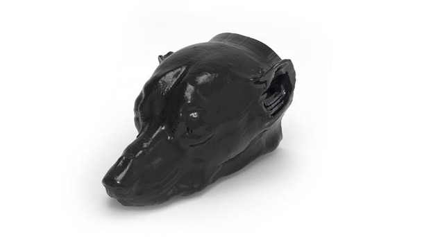 Dog Head Phantom for CT and X-Ray