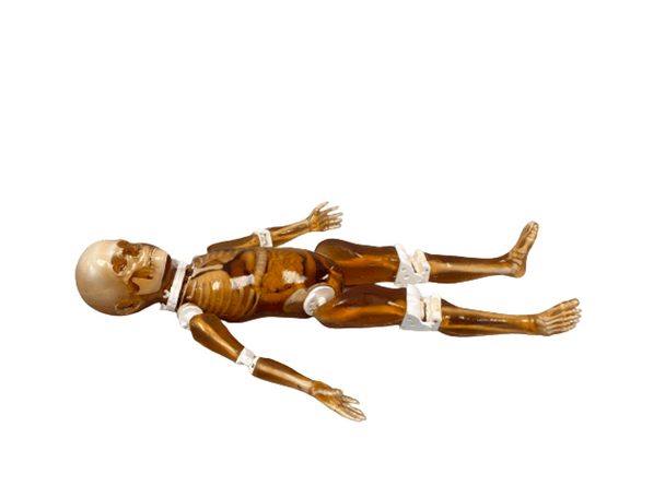 Pediatric 4-Year Old Full Body Phantom Model with Carry Case