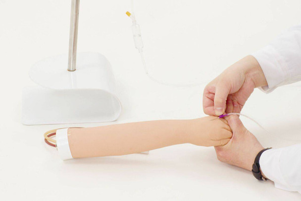 Anatomy Lab Infant IV Arm