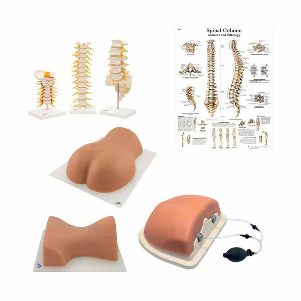 Complete Spinal Injection Trainer Kit