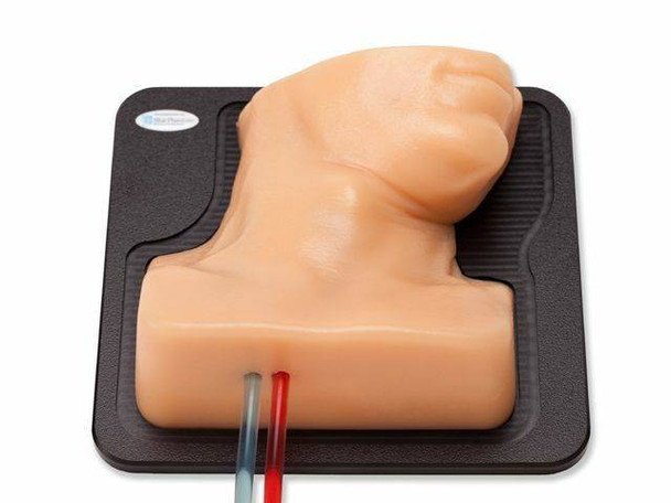 Internal Jugular Central Line Ultrasound Manikin - Opaque