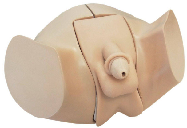 KOKEN Male Catheterization and Enema Simulator