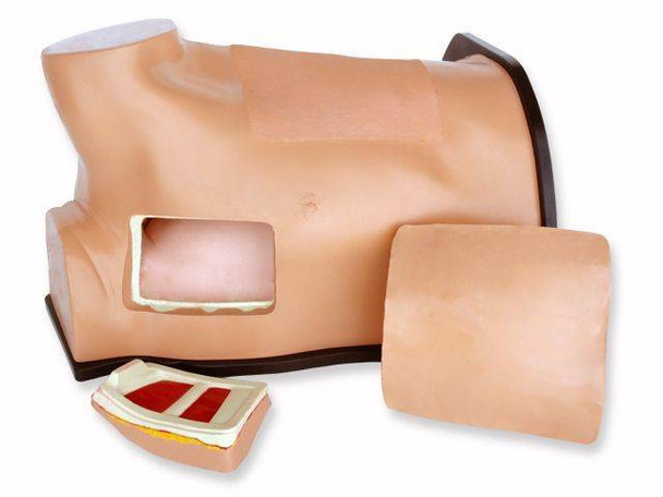 Thoracentesis and Thoracostomy Ultrasound Model