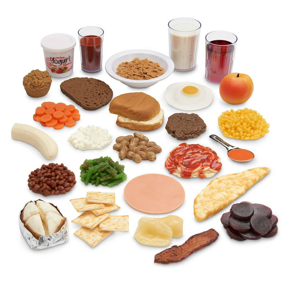 Common Meals Food Replica Kit