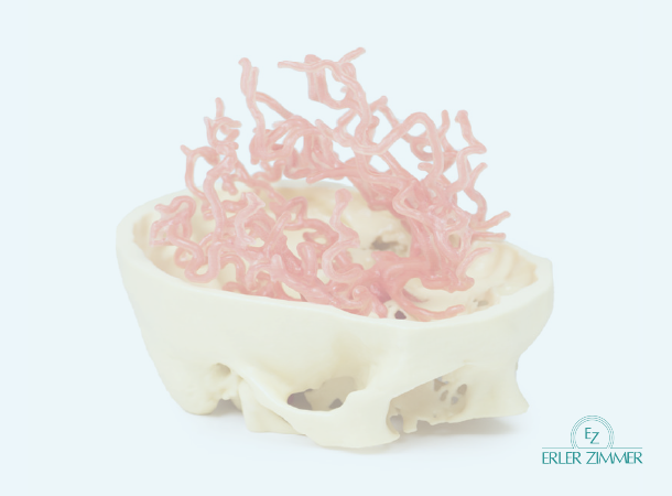 Skull model filled with pink, swirling forms.