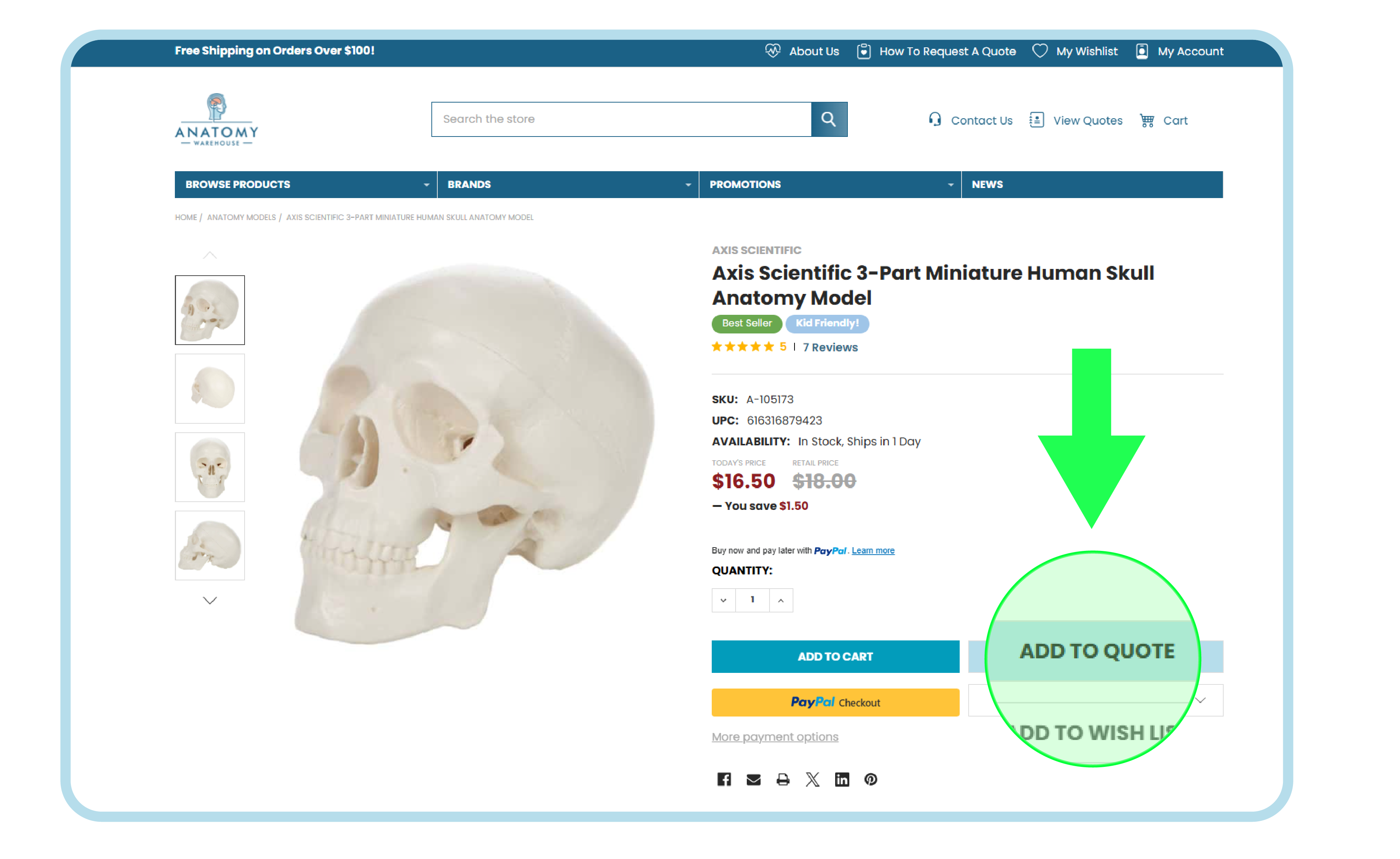 product page snapshot for an "Axis Scientific 3-Part Miniature Human Skull Anatomy Model" on a website.