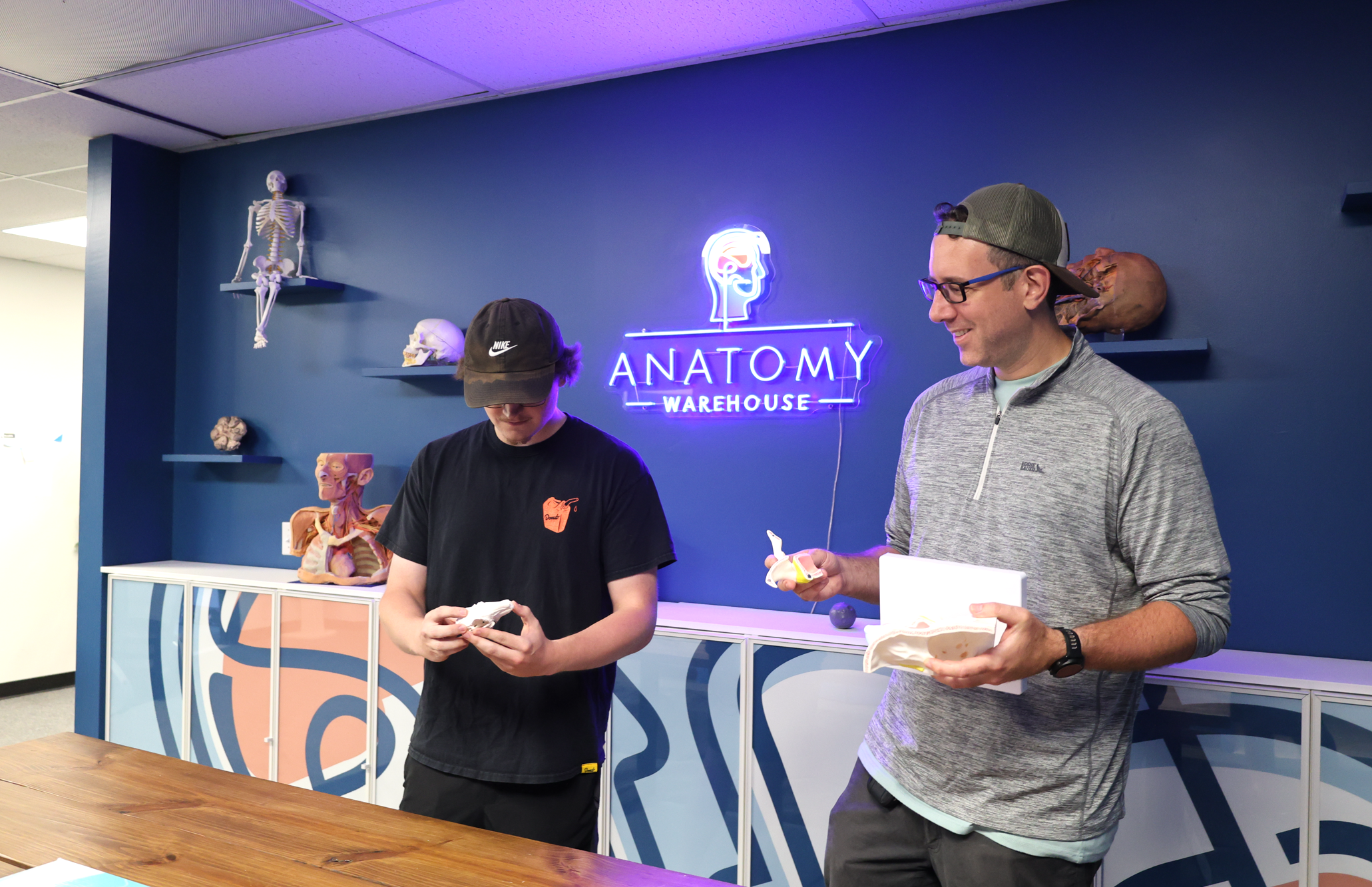 Close-up of team members inspecting anatomical models