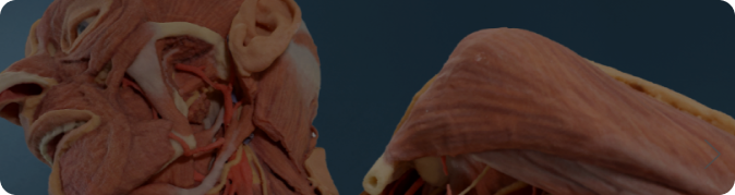 Resources Banner