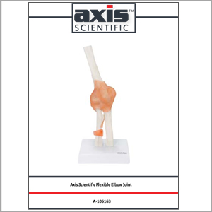 Axis Scientific Human Elbow Joint with Functional Ligaments Anatomy Model Study Guide Booklet and Manual.