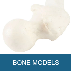BONE PARTS