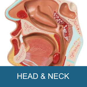 HEAD & NECK
