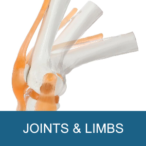 JOINTS & LIMBS
