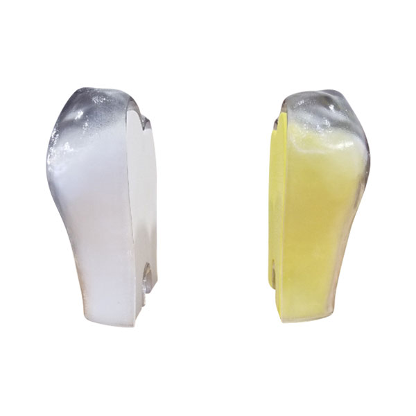 Dual Dentin Tooth Model for Tooth Whitening Demonstration - Split View