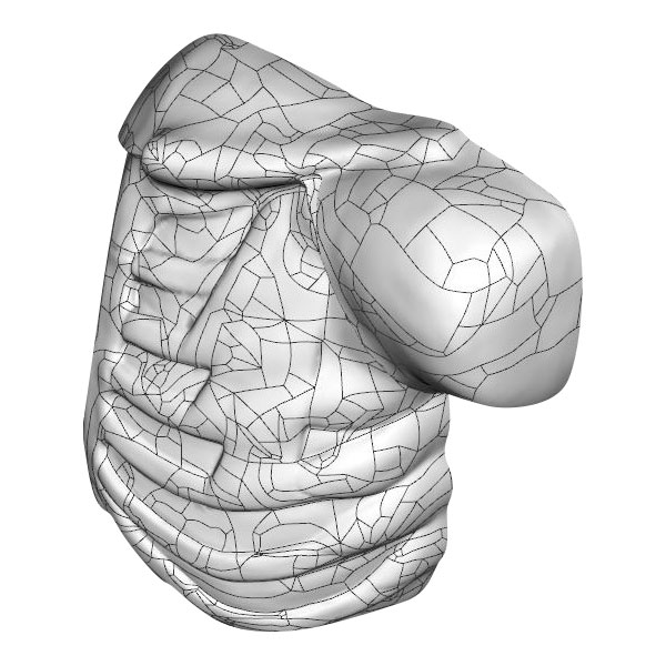 Mastopexy and Breast Revisions Model - 3D Render