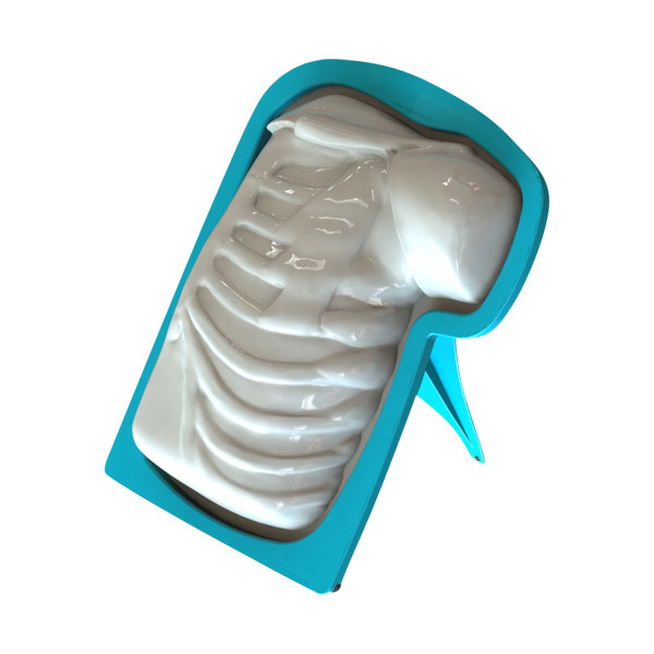 Mastopexy and Breast Revisions Model - Blow Mold