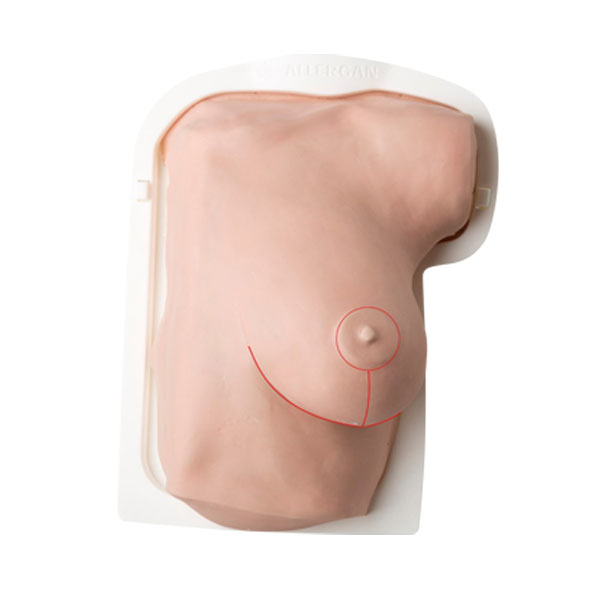 Mastopexy and Breast Revisions Model - Exterior View