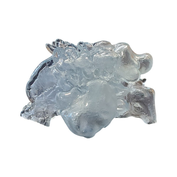 Transparent Nasal Cast Front View