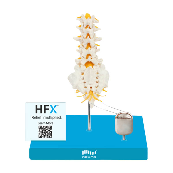 Custom Lumbar Model with Branding and Client Device Demonstration - Mock Up