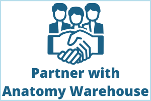 Partner with Anatomy Warehouse with link to landing page.