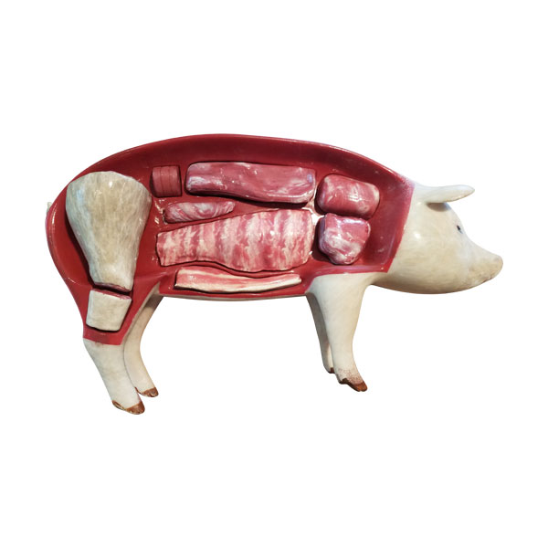 Educational Pork Cuts Model - Split View