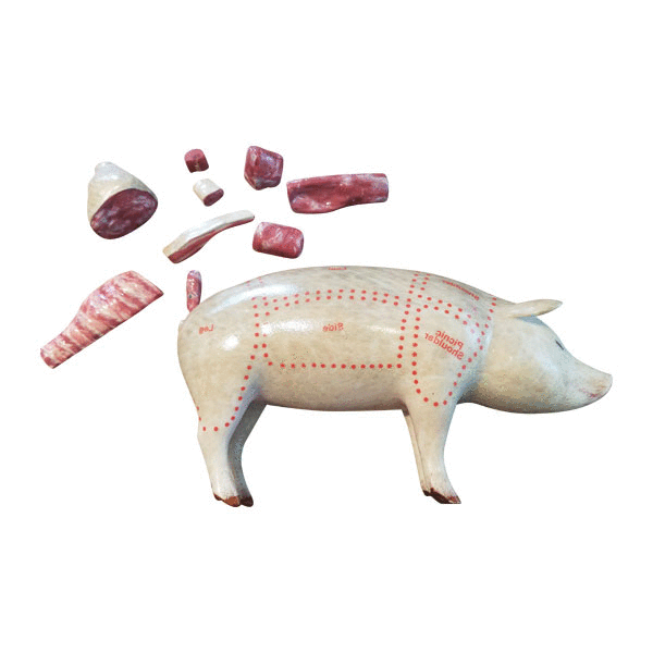 Educational Pork Cuts Model - Outside View with Individual Cuts off to the Left