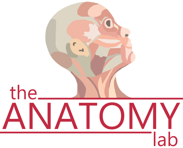 Anatomy Lab logo with Link to Warranty Registration