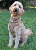 Simplicity S9664 | Dog Harness and Leash with Trim Options