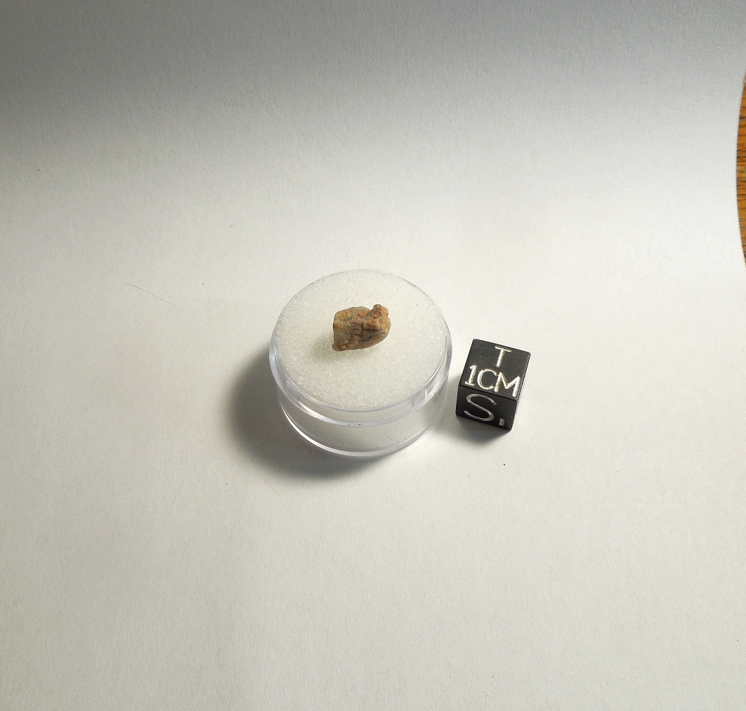 Trinitite Historic Manhattan Project Artifacts