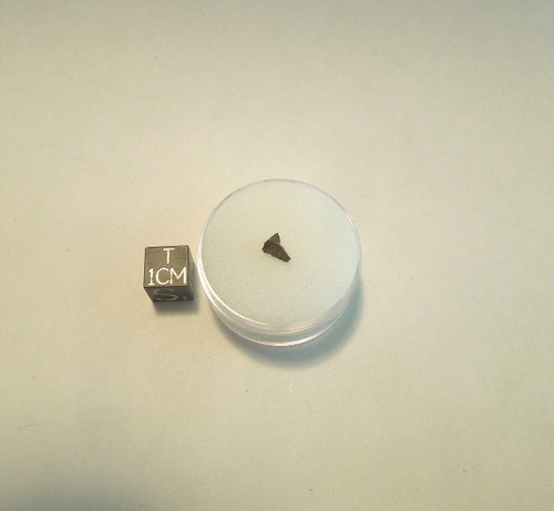 NWA 13385, First of New Meteorite Class, CV-reduced, Micromount