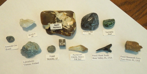 Rock and Fossil Collection, 10 Pieces with Labels