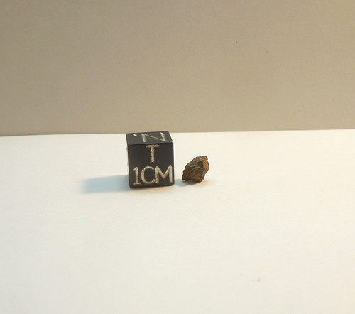 Vaca Muerta Mesosiderite, 1861 Chile Find, Fragment, .274g