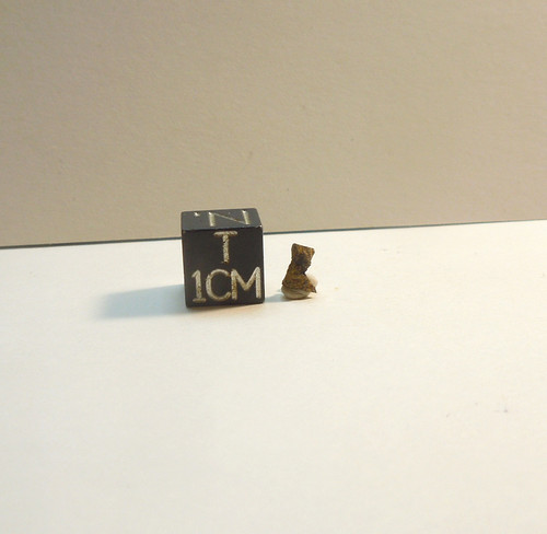 Monze, 1950 Zambia Witnessed Fall, Fragment, .080g