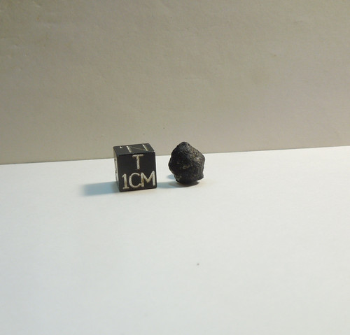 El Menia, 2023 Algerian Fall, Crusted Pea, 1.13g