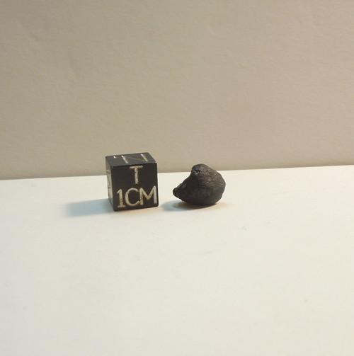El Menia, 2023 Algerian Fall, Crusted Pea, .945g