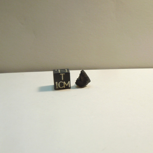 El Menia, 2023 Algerian Fall, Crusted Stone, .767g