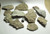 Mini Fossil Hash Plate, Crinoids, Devonian