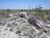 Odessa Pendant, Texas Meteorite Impact Crater, Shocked Crater Sand