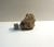 Pica Glass, Comet Impact Glass, Light Fragment w/ Hole, 15.5g