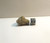 Kapustin Yar, Russian Roswell Meteorite, Fragment, 8g