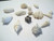 Fossil Shell Assortment Lot, Extinct Species, Millions of Years Old