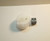Wadsworth, New 2026 Ohio Fall, Vestan Eucrite, Micromount