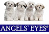 Angels’ Eyes