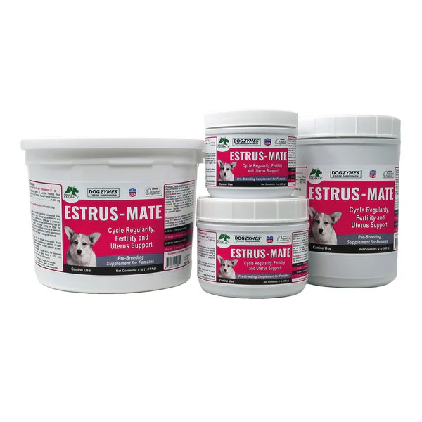 Estrus When Does A Puppy Have Her First Season DogZymes Estrus