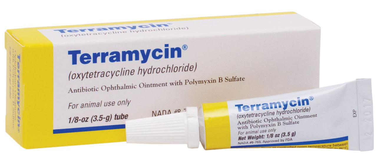 how do i apply terramycin ophthalmic ointment to my dog