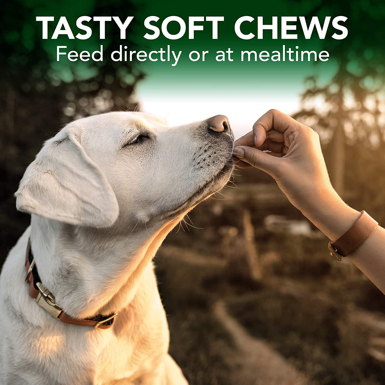 Vet s Bets Seasonal Allergy Support 30 Soft Chews A Better Way Pet Care