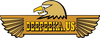 DeepeekaUSA