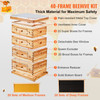 VEVOR Bee Hive 40 Frame Bee Hives Starter Kit, Beeswax Coated Cedar Wood, 2 Deep + 2 Medium Bee Boxes Langstroth Beehive Kit, Transparent Acrylic Windows with Foundations for Beginners Pro Beekeepers