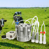 VEVOR Goat Milking Machine, 12 L 304 Stainless Steel Bucket, Electric Automatic Pulsation Vacuum Milker, Portable Milker with Food-grade Silicone Cups and Tubes, Adjustable Suction for Cows and Sheep