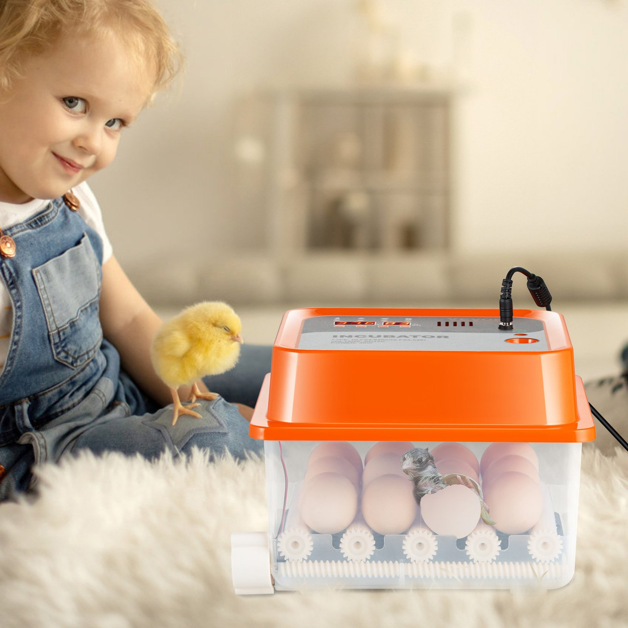 VEVOR Egg Incubator, Incubators for Hatching Eggs, Automatic Egg Turner with with Temperature and Humidity Control, 12 Eggs Poultry Hatcher with ABS Transparent Shell for Chicken, Duck, Quail