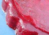 Cran-Raspberry Gelatin Mold